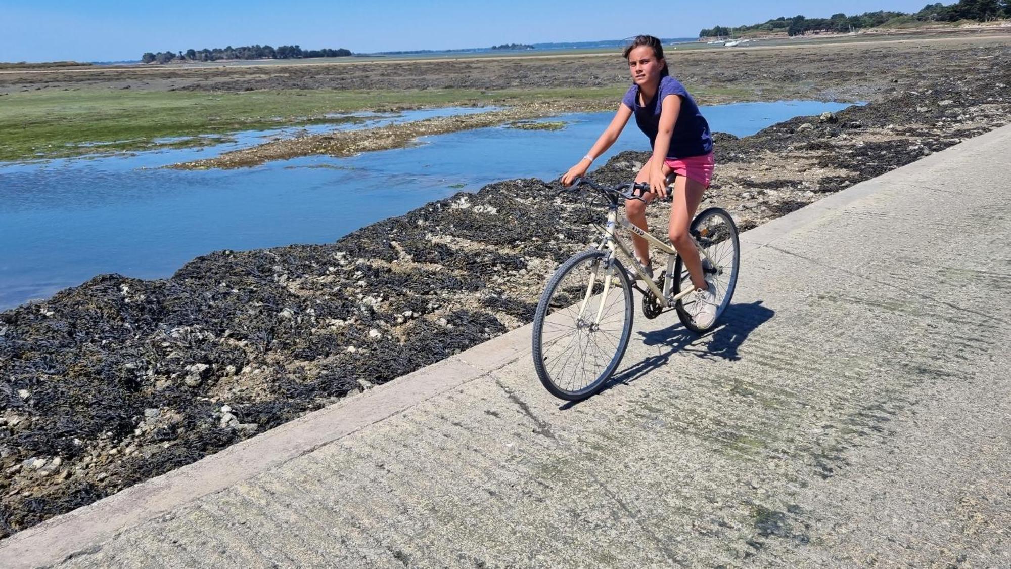 Maison Golfe Du Morbihan - Vue Mer - Plage A 600M - 6 Chambres Séné Esterno foto